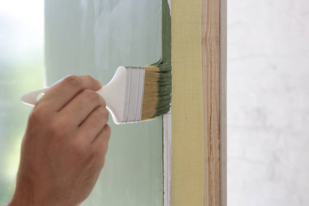 Best Basement Mold Removal  in Indian Hills, TX