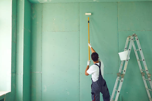 Reliable Indian Hills, TX Mold Removal Solutions